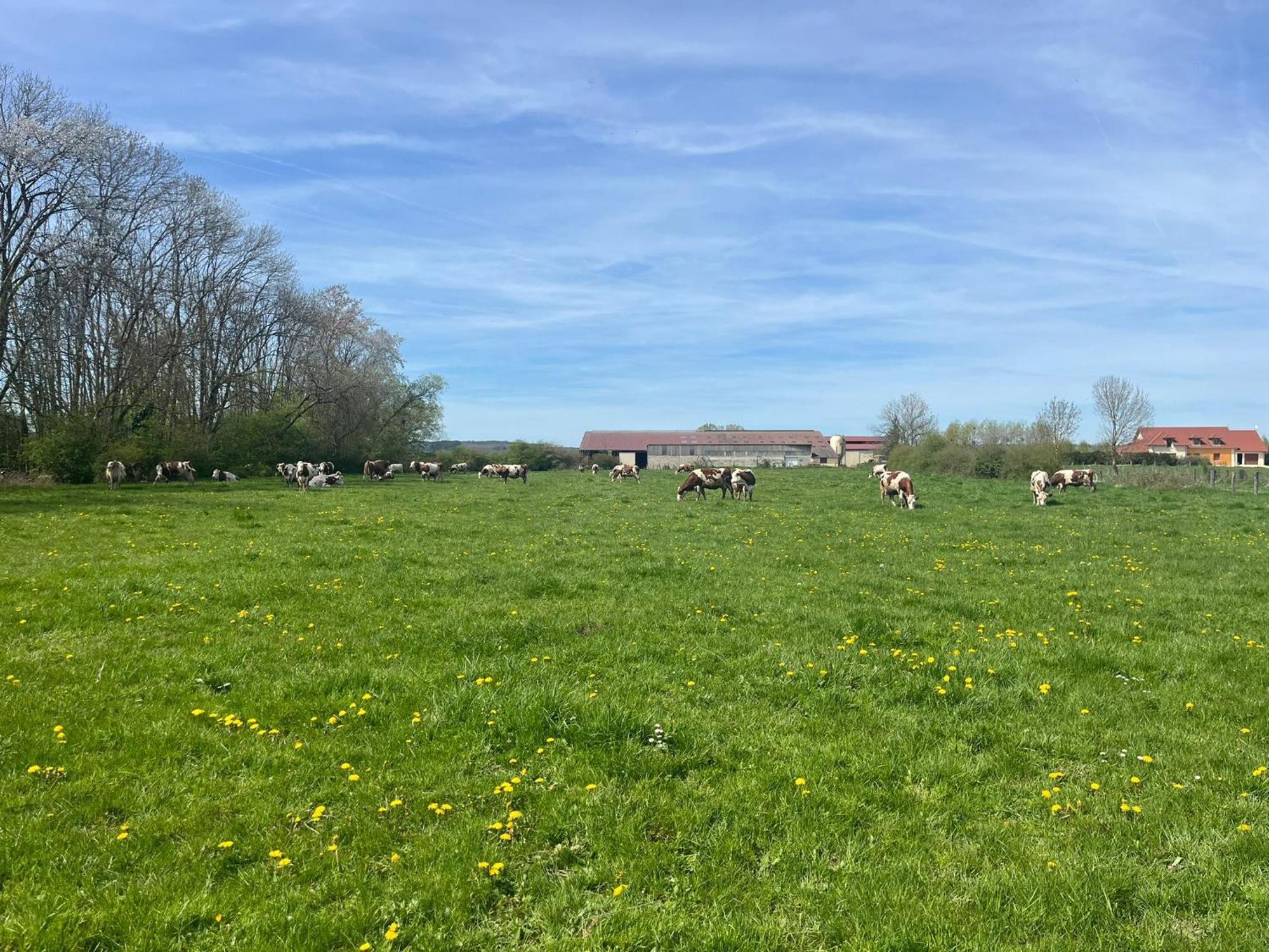 Au Coeur De La Vannerie Fays-Billot